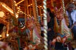 IMG_1531