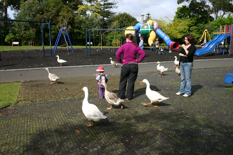 142_IMG_7601