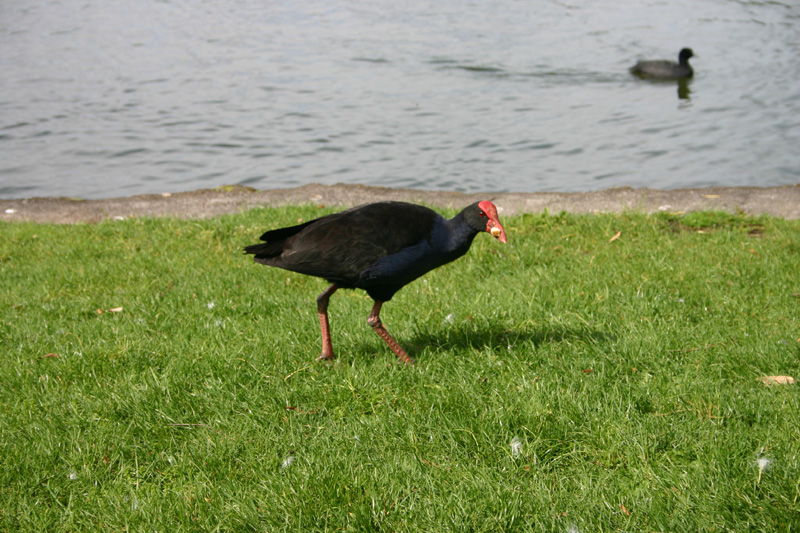144_IMG_7603