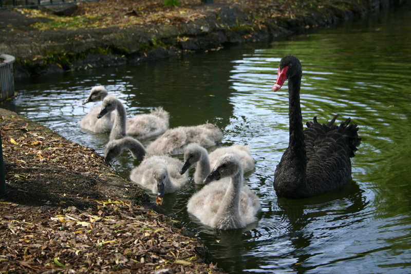 150_IMG_7610