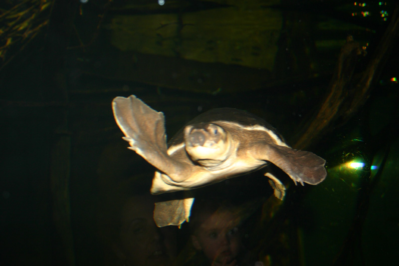 247_IMG_7696