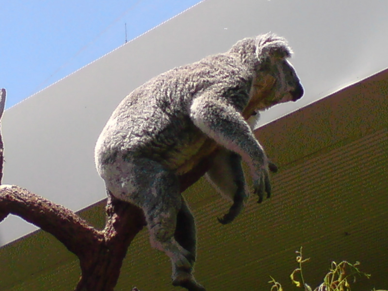 297_DSC00055