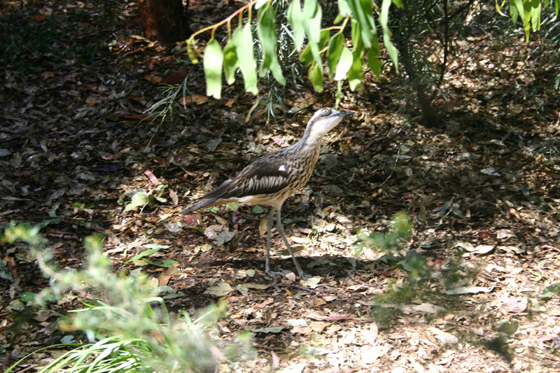 327_IMG_7791