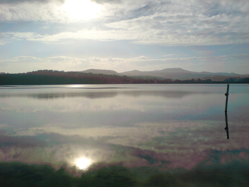 346_DSC00069