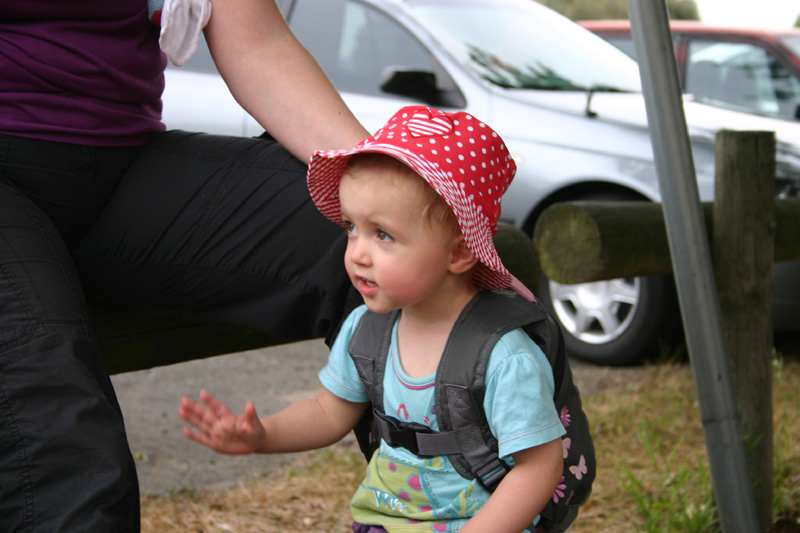 384_IMG_7837