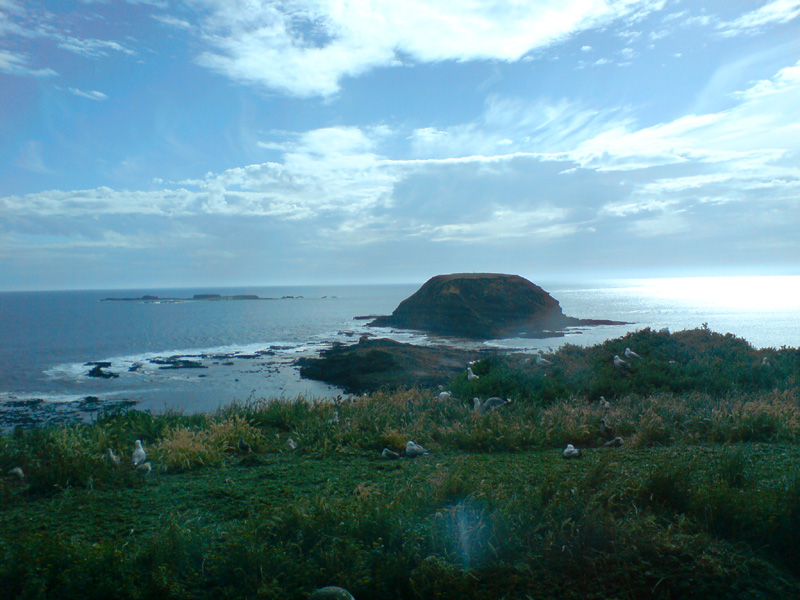 446_DSC00100