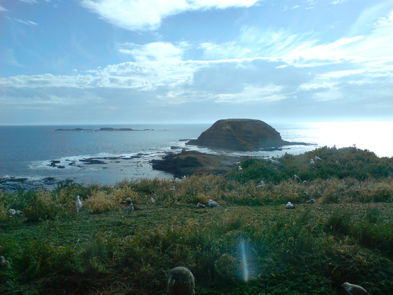 448_DSC00102