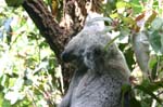 325_IMG_7789