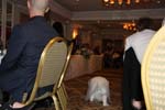 IMG_8887