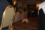 IMG_8888